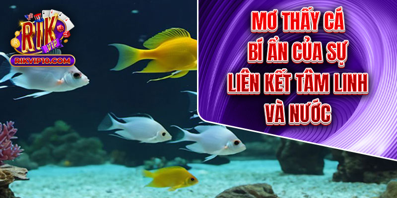 Mơ Thấy Cá - Bí Ẩn Của Sự Liên Kết Tâm Linh Và Nước