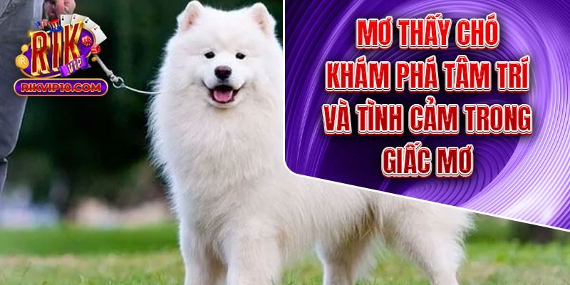 Mơ Thấy Chó - Khám Phá Tâm Trí Và Tình Cảm Trong Giấc Mơ
